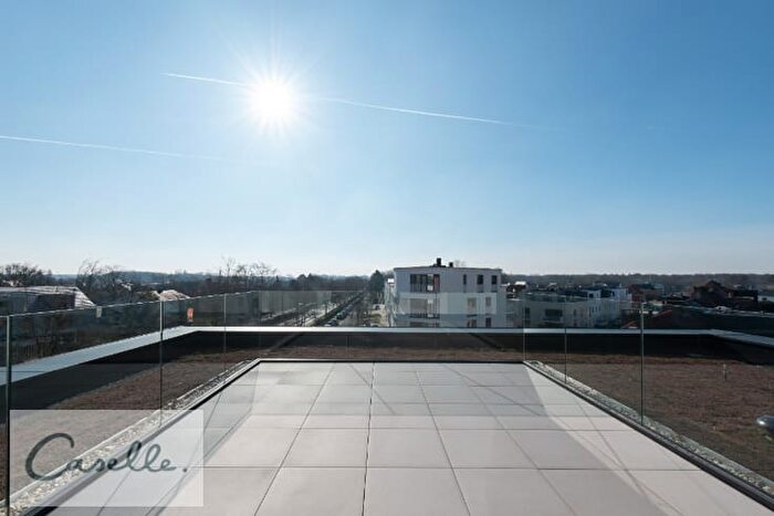 Appartement 10 pièces à vendre à Koning Albert I Laan, SintMichiels