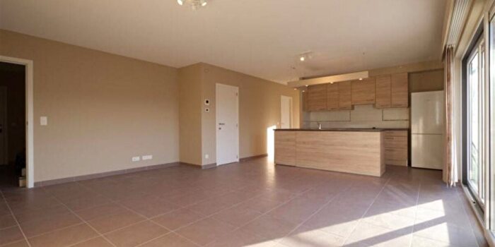 Appartement 2 pièces à louer à Rue de lAraucaria, LeuzeenHainaut