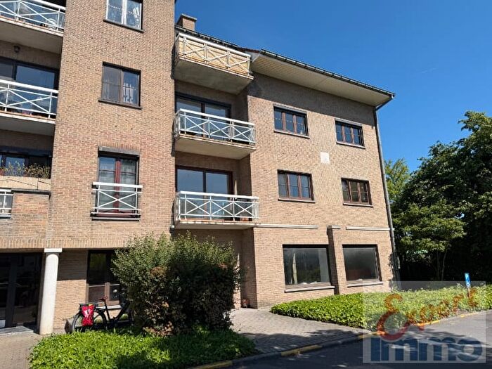 Kortrijksesteenweg, Harelbeke - Appartement 9 pièces à louer