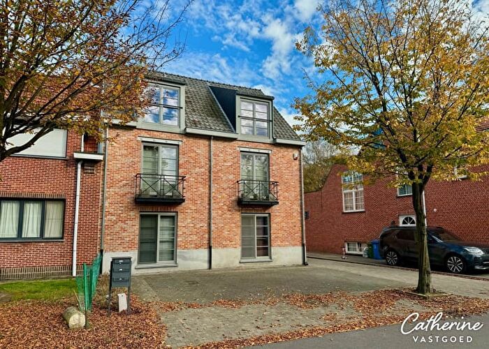Molenstraat, Schilde - Appartement 2 pièces à louer