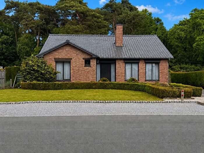 Reigerstraat, Beringen : Maison 13 pièces à vendre