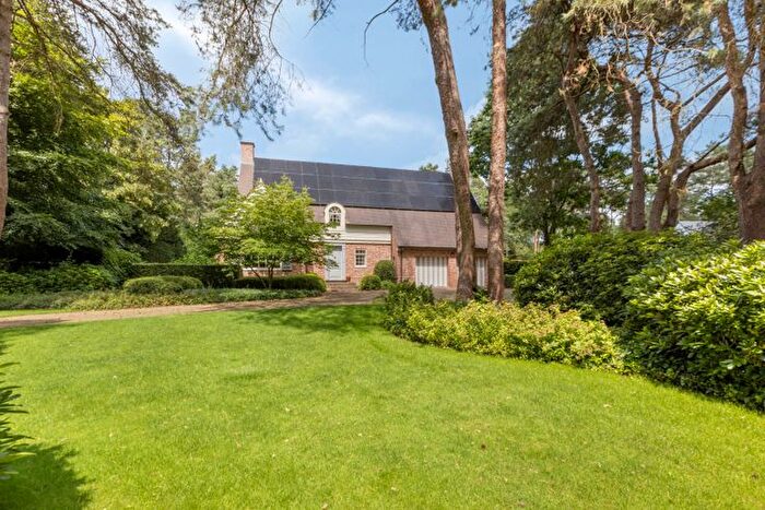 Epiceastraat, Mol - Maison 1 pièce à vendre