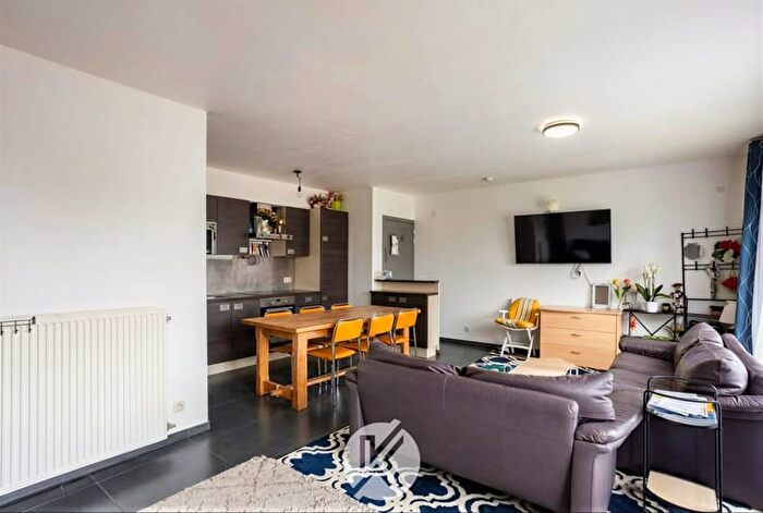 Grotstraat, Grotenberge - Appartement 8 pièces à vendre