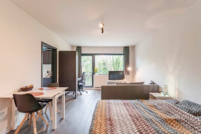 Tervuursestraat, Leuven - Appartement 1 pièce à louer