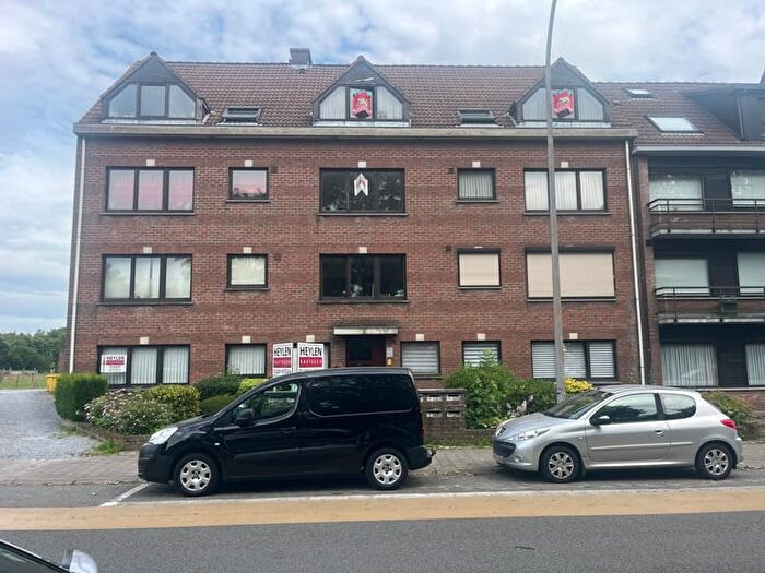 Diestseweg, J : Appartement à louer