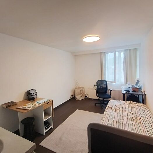 Appartement 1 pièce à louer - Tervuursestraat, Leuven
