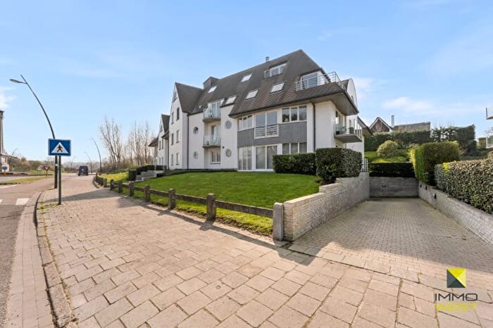 Koninklijke Prinslaan, SintIdesbald - Appartement 10 pièces à vendre