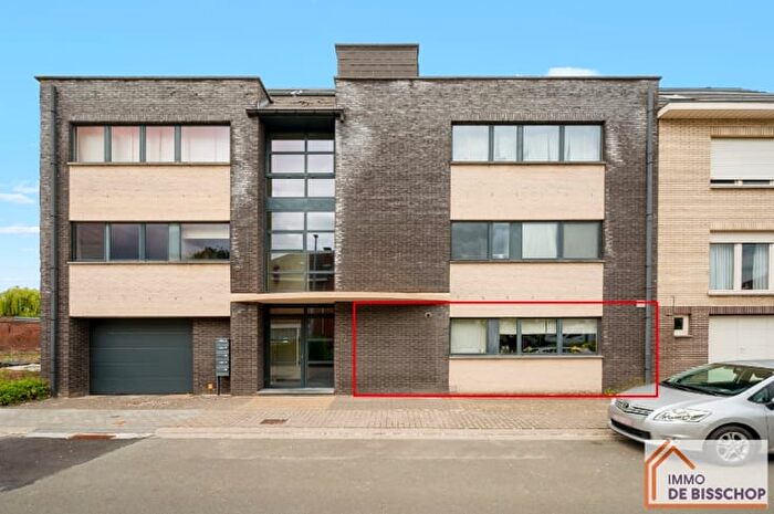 Appartement 10 pièces à Windmolenstraat, Haaltert, à vendre