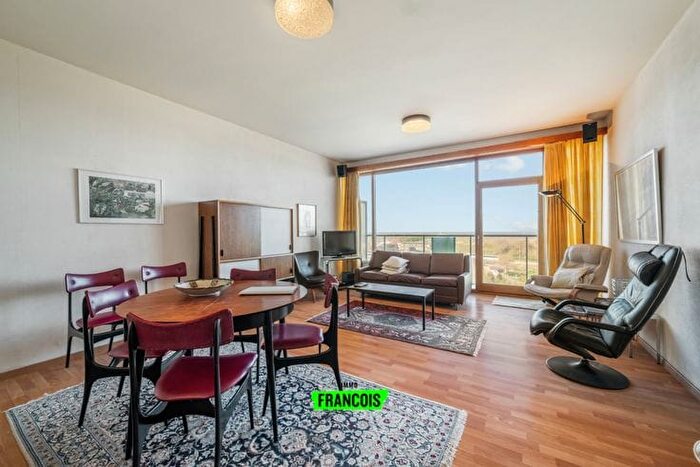 Appartement 2 pièces à vendre - Zandheuvel, F