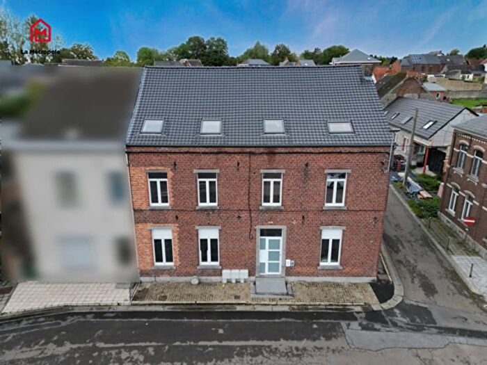 Maison 8 pièces à Rue Emile Vandervelde, Erquelinnes SolresurSambre, à vendre