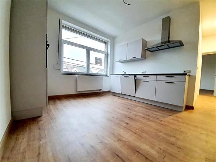 Appartement 3 pièces à Avenue Paul Pastur, MontsurMarchienne, à louer