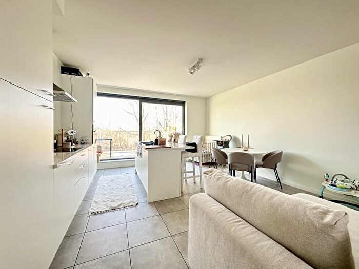 Rue Neuve, F : Appartement 2 pièces à louer