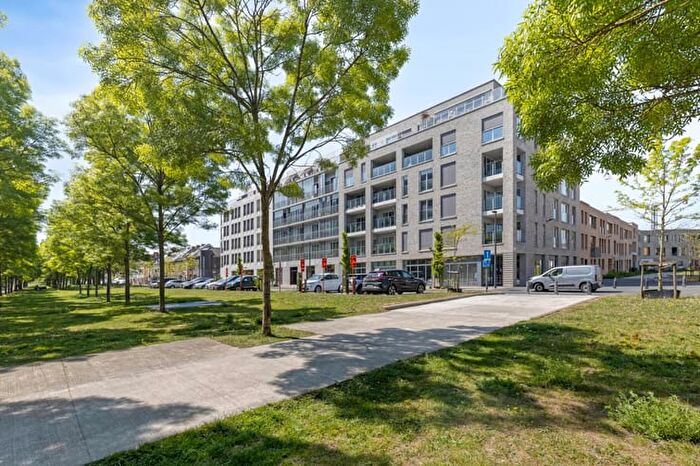 Terluchteplein a, a - Appartement 11 pièces à vendre