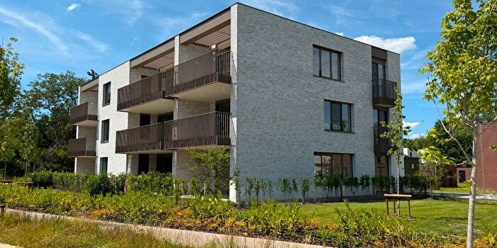 Satelliet Suzystraat, HerkdeStad : Appartement 2 pièces à louer