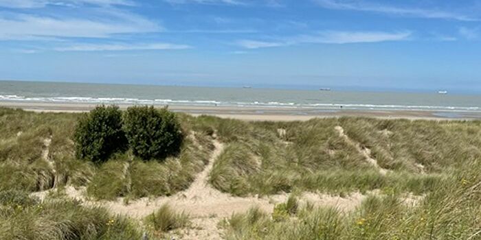 Appartement 1 pièce à vendre à A Ruzettelaan, Blankenberge
