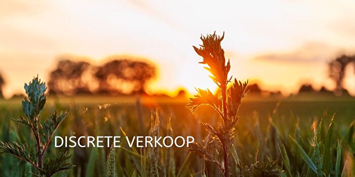 Zomergem, OostVlaanderen - Maison à vendre