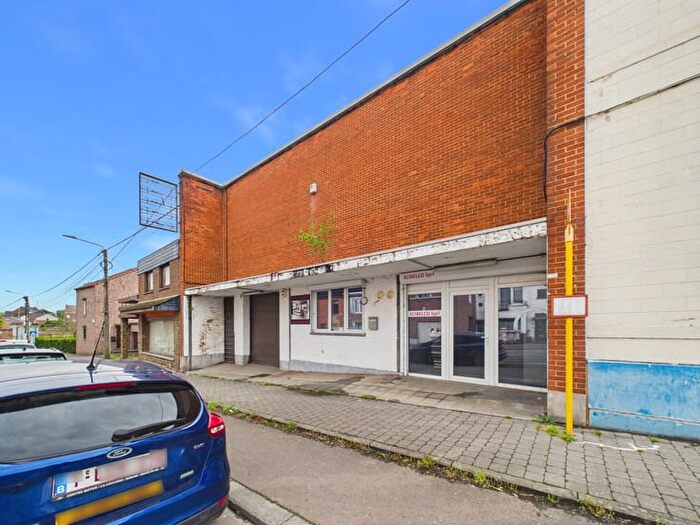 Maison 9 pièces à chaussee de mons, La Louvière HaineSaintPaul, à vendre