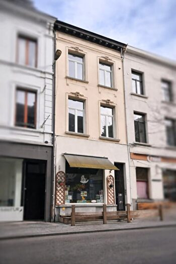 Hopland, Antwerpen - Maison 1 pièce à vendre