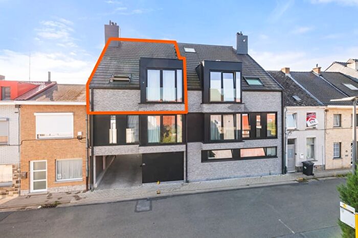Nederwijk, Ninove - Appartement 3 pièces à louer