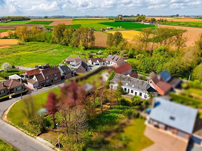 Zuidlaan, Zwalm : Maison à vendre