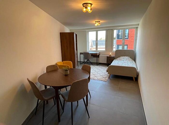 Tervuursestraat, Leuven - Appartement 1 pièce à louer