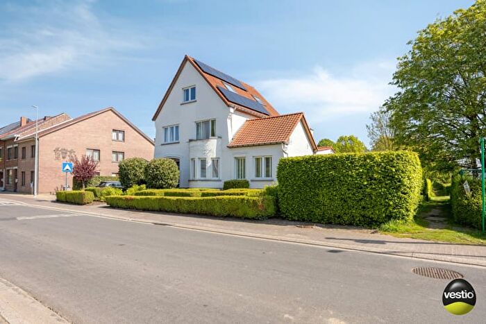 Bammestraat, BilzenHoeselt - Maison 19 pièces à vendre