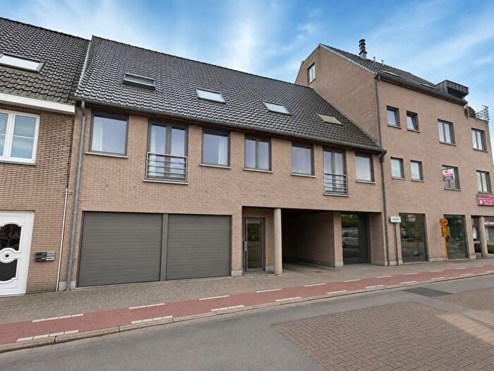 Molenstraat A, Lievegem - Appartement 11 pièces à louer
