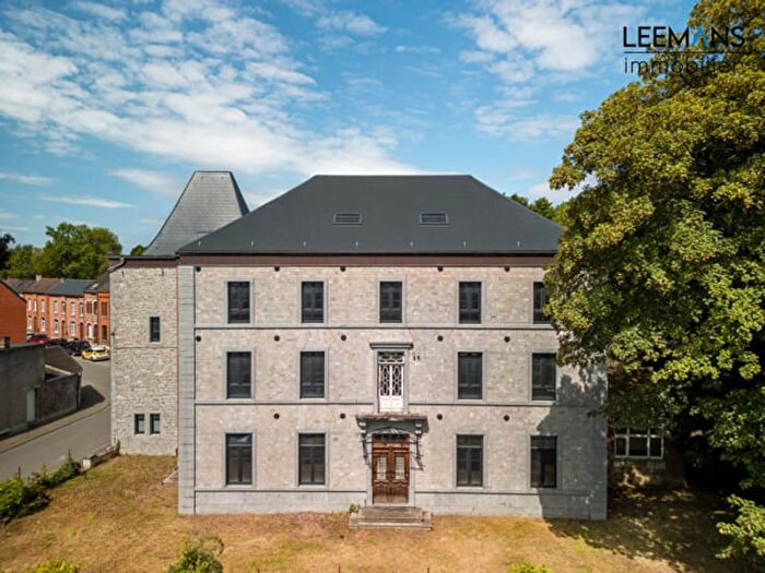 Rue SaintLouis, Couvin Mariembourg - Maison 12 pièces à vendre
