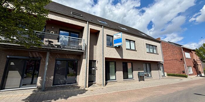 Appartement 4 pièces à Molenstraat A, Hallaar, à vendre