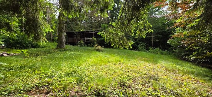 Rue du Pré d'Ores, Gedinne Vencimont - Maison 1 pièce à vendre