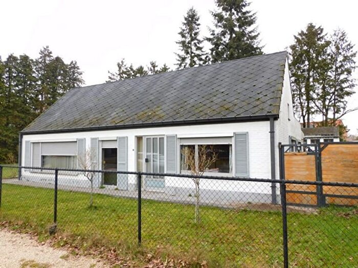 Maison 13 pièces à vendre à Wittevennestraat, Beverlo