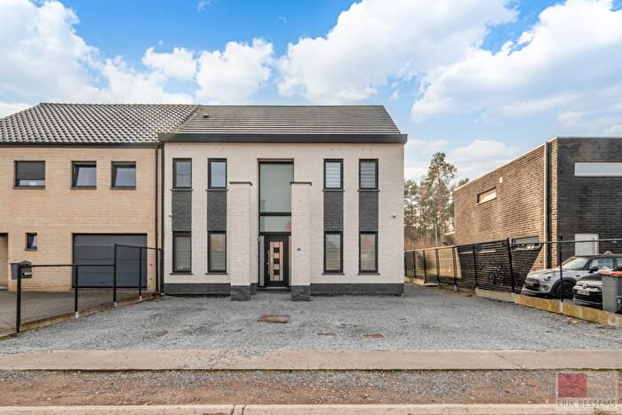 Lindenlaan, Maasmechelen - Maison 17 pièces à vendre