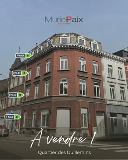 Maison 4 pièces à Rue Dossin, Liège, à vendre