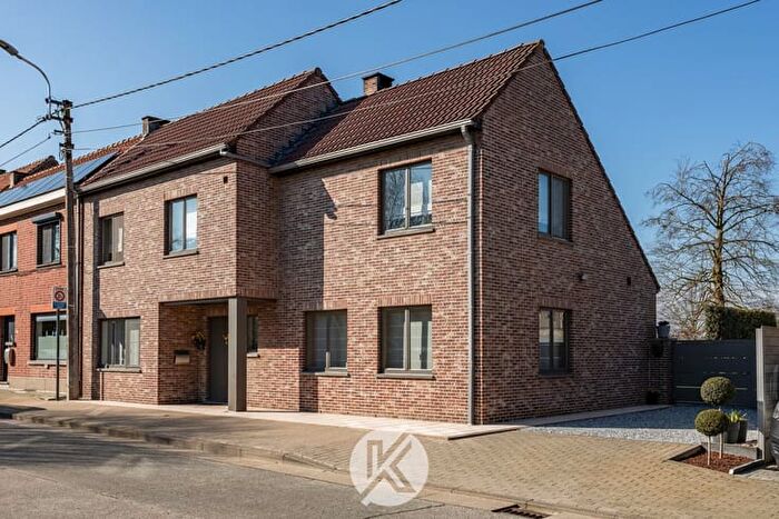 Ledebergstraat, Hillegem - Maison 15 pièces à vendre