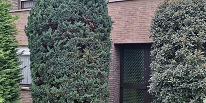 Daalbos, Berlare : Maison 3 pièces à vendre