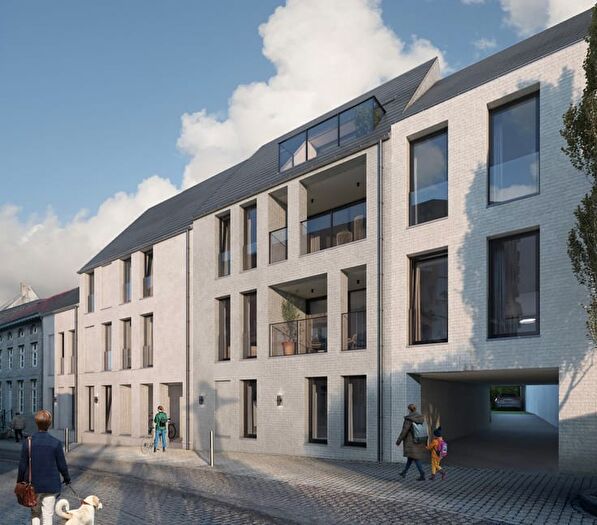 Papenstraat, Borgloon : Appartement à vendre