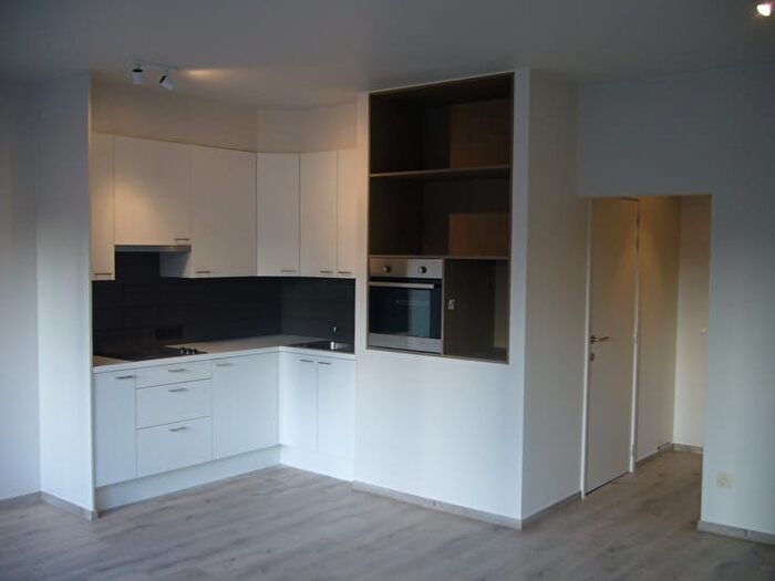 Appartement à louer - Martelaarslaan, Gent
