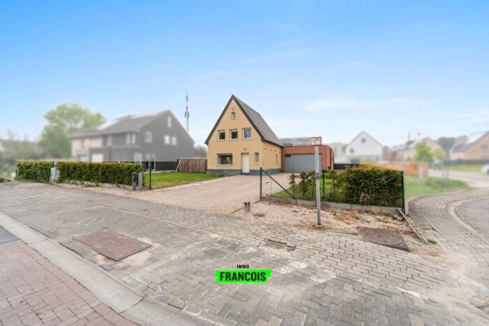 Biesakker, Wichelen - Maison 5 pièces à vendre
