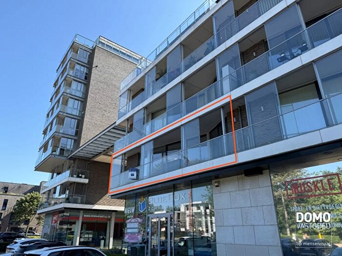 Appartement 1 pièce à louer à Hassaluthdreef B, Hasselt