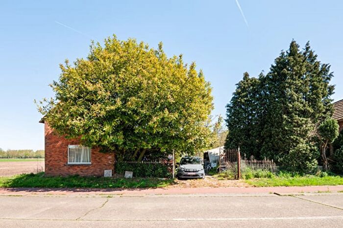 Maison 2 pièces à vendre - Haringslede, MoerbekeWaas