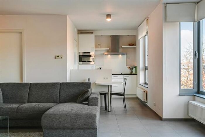 Appartement 1 pièce à louer - De Reinelaan, Machelen Diegem