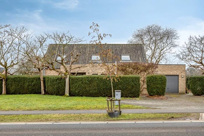 Maison 11 pièces à Geelsebaan, Tessenderlo, à vendre