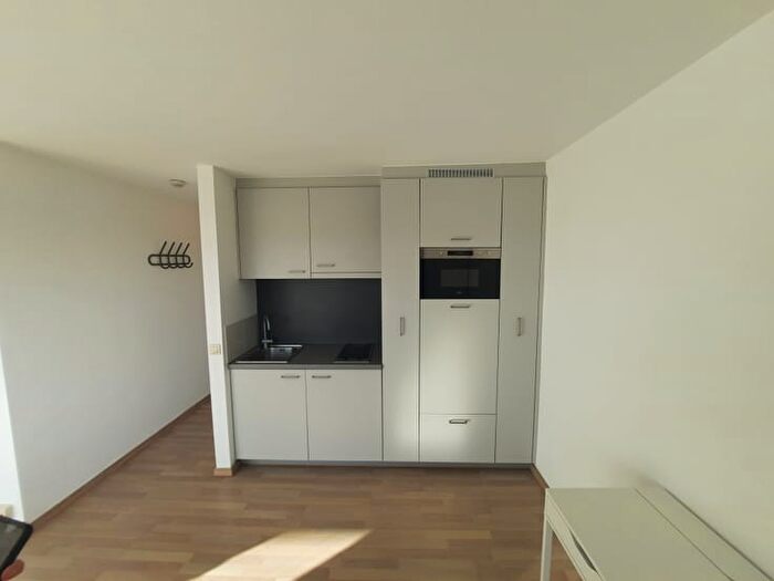 Appartement 1 pièce à louer à Celestijnenlaan, Leuven
