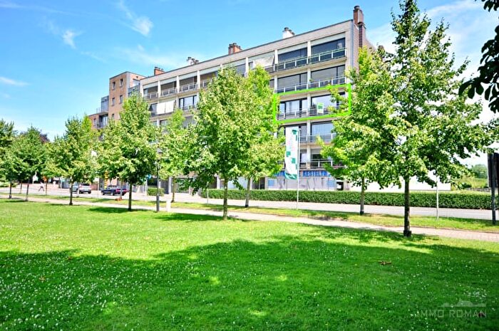 Appartement 11 pièces à Bruul, Ronse, à vendre