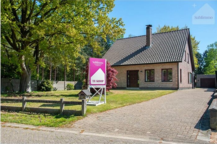 Maison 13 pièces à schoolstraat, Grobbendonk, à vendre