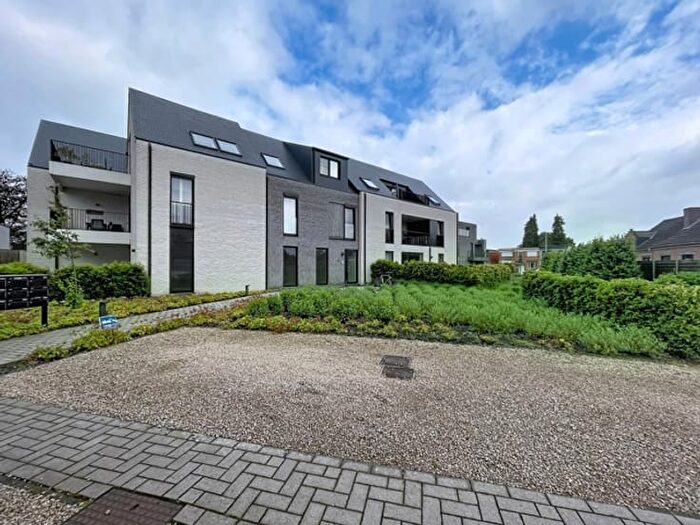 Willibrordusstraat : Appartement 2 pièces à louer