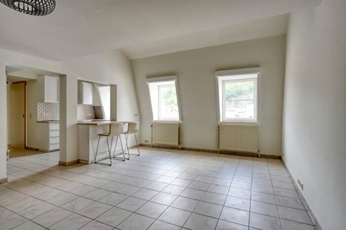 Rue Félix Defays, Pepinster - Appartement 2 pièces à louer