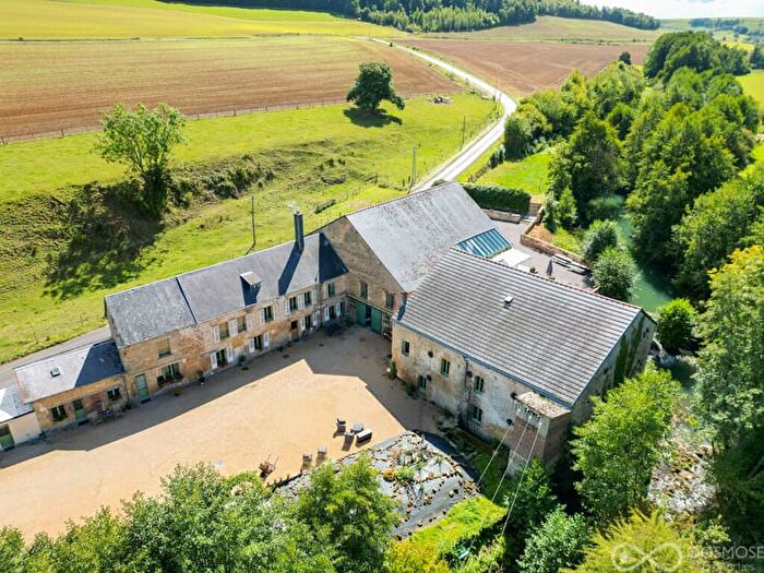 Maison 16 pièces à Moulin du Grésil, Couvin, à vendre