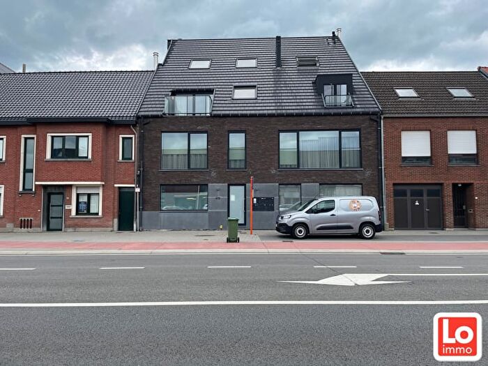 Gentse Steenweg, Lokeren - Appartement 8 pièces à louer