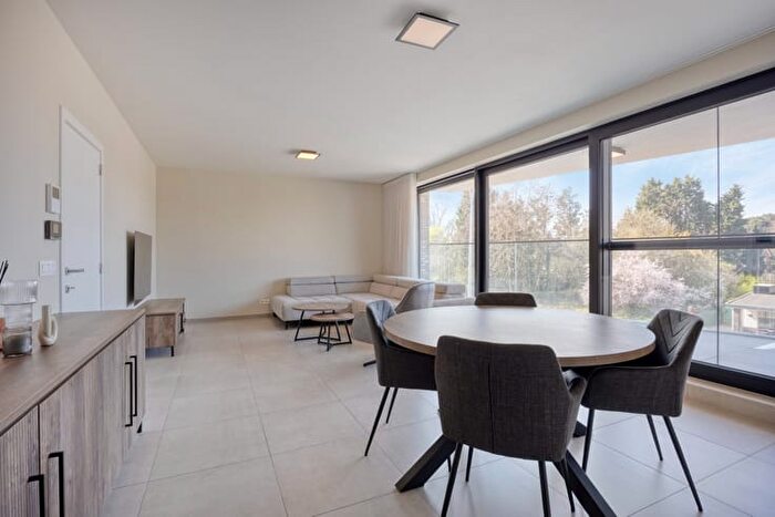 Rijksweg, Maasmechelen - Appartement 10 pièces à vendre